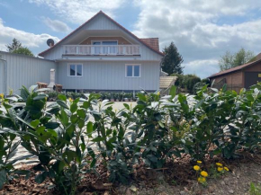 Comfortable holiday home in the Harz Mountains